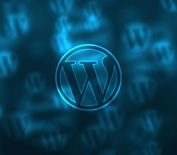 What Affects WordPress Development Cost