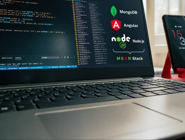 Get The Best MEAN Stack Developers in USA