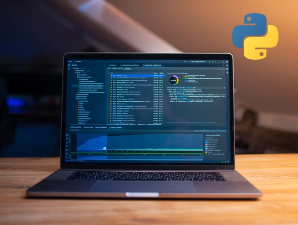 The Advantage in Python Development