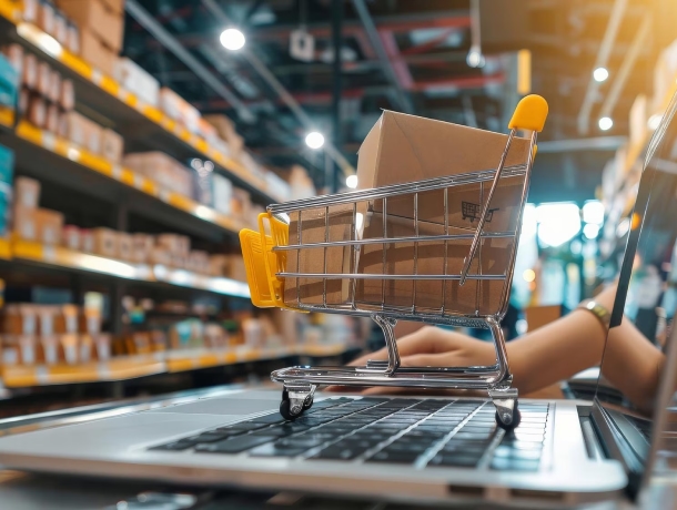 Advanced E-commerce Software Development Services