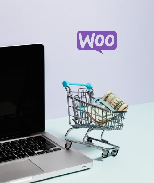 Why Choose WooCommerce for eCommerce Development?