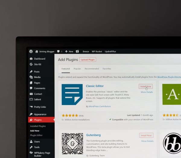 What Industries Use WordPress CMS Development?